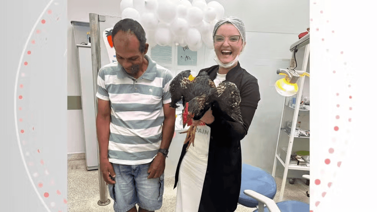 Dentista ganha galo de presente em agradecimento a atendimento