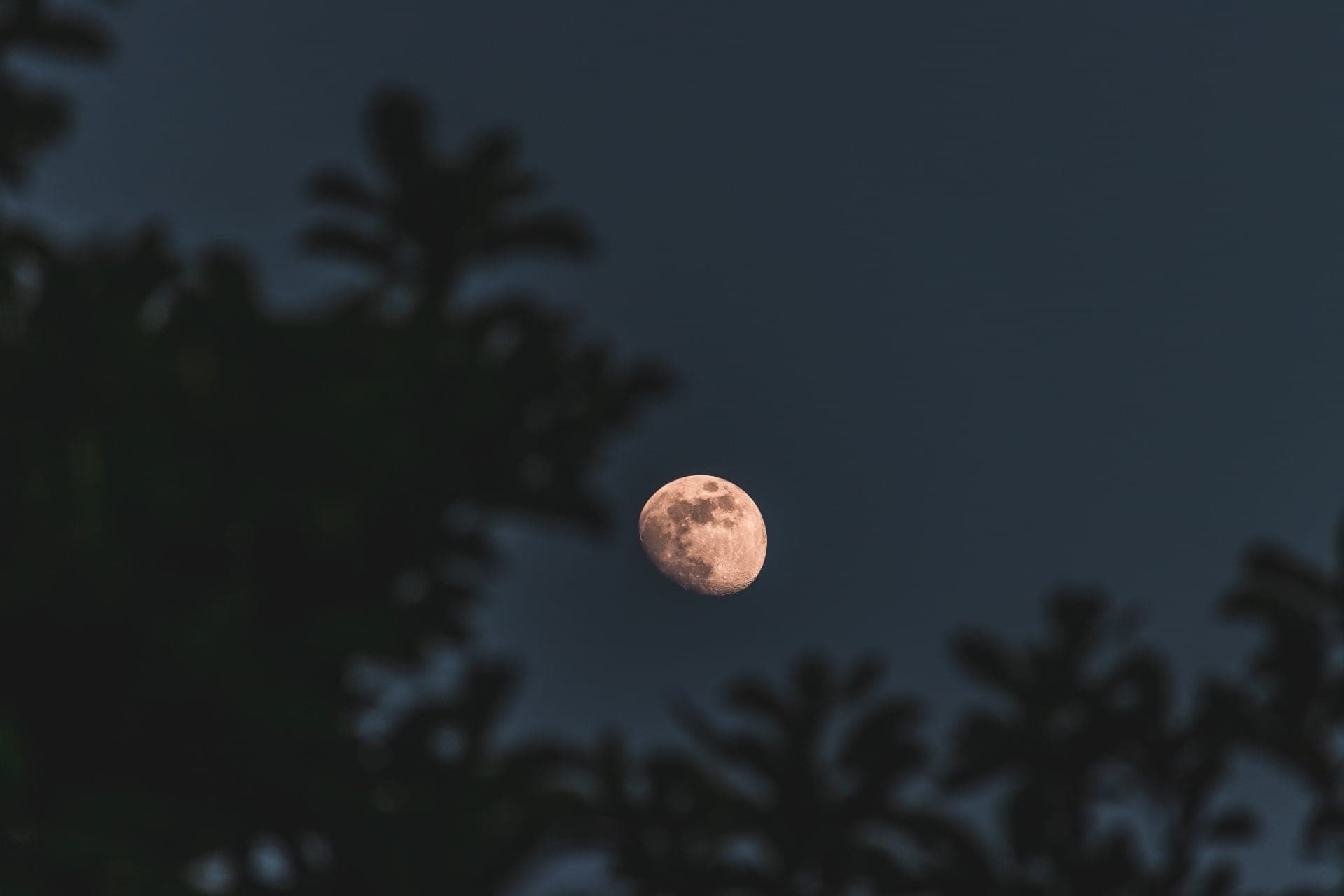 Luz e sombras dos signos