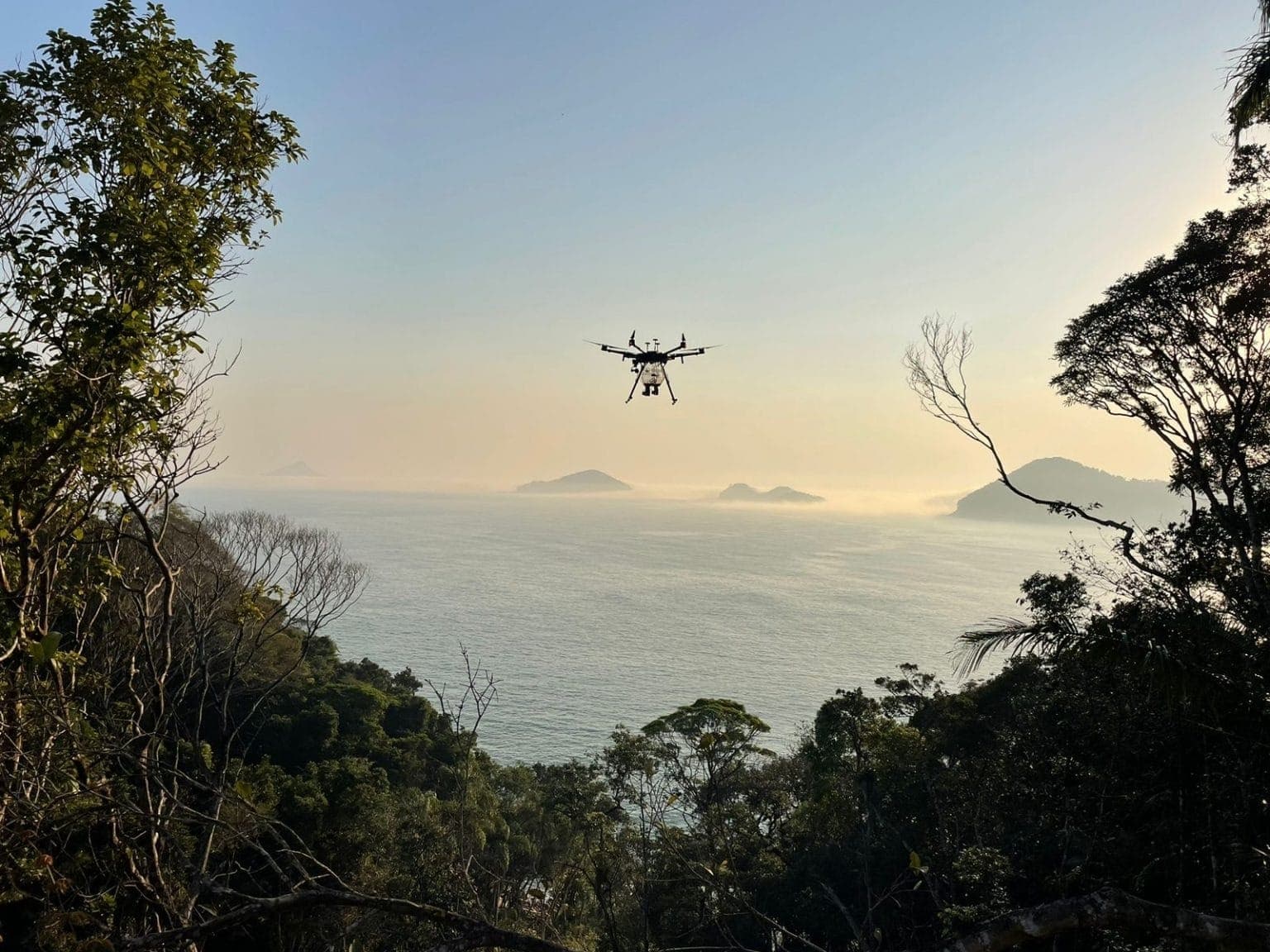 Tecnologia de ponta utiliza drones para lançar biocápsulas com sementes de espécies nativas da Mata Atlântica