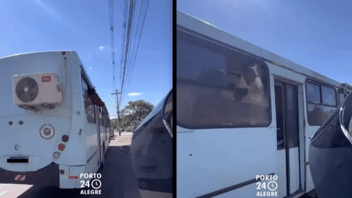 Cavalos são vistos andando de ônibus em Porto Alegre