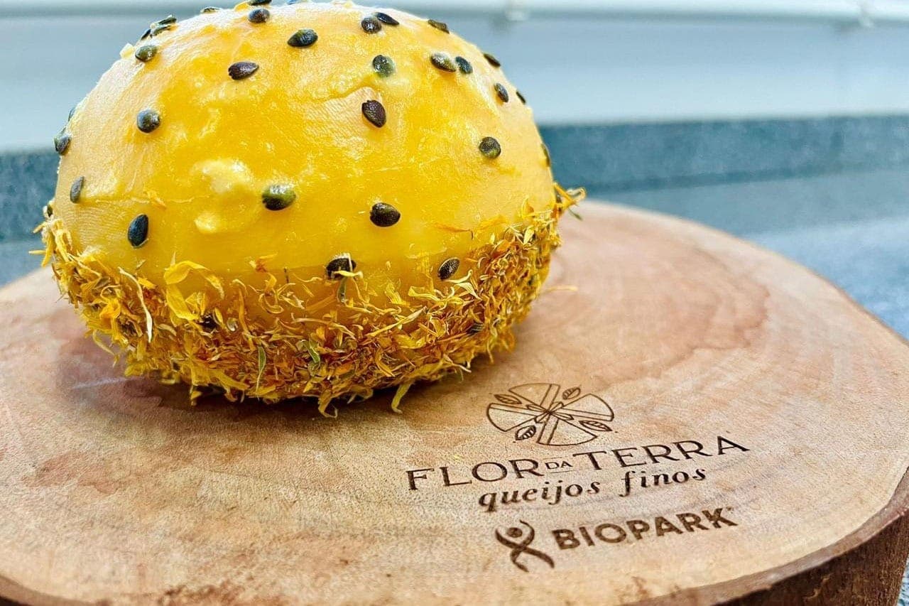 Queijo brasileiro está entre os melhores do mundo