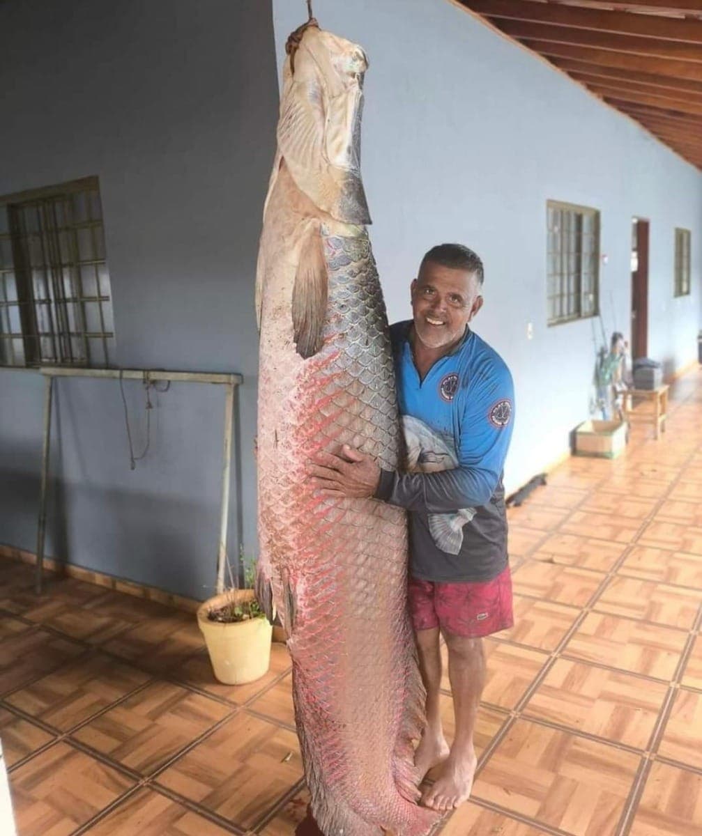 Homem pescou pirarucu de 161 kgs em São Paulo