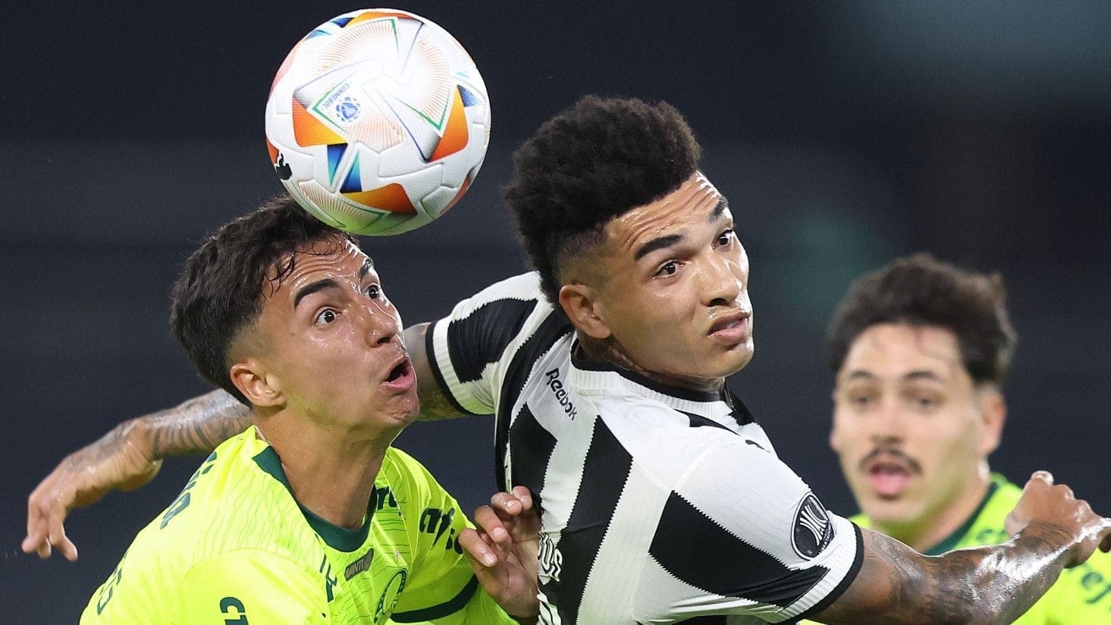 Vitor Reis (Palmeiras) e Igor Jesus (Botafogo) em jogo no 1º turno do Brasileirão