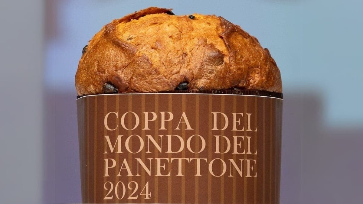 Saiba detalhes do eleito melhor panetone do mundo