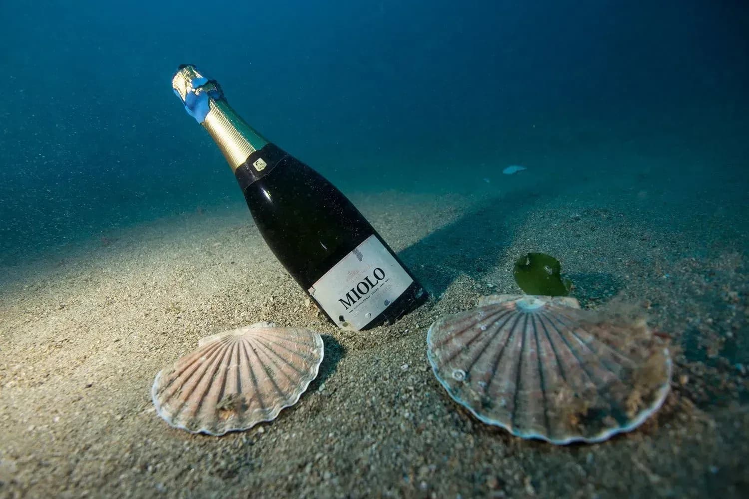 Espumante brasileiro submerso na França é colocado à venda por R$ 3.500