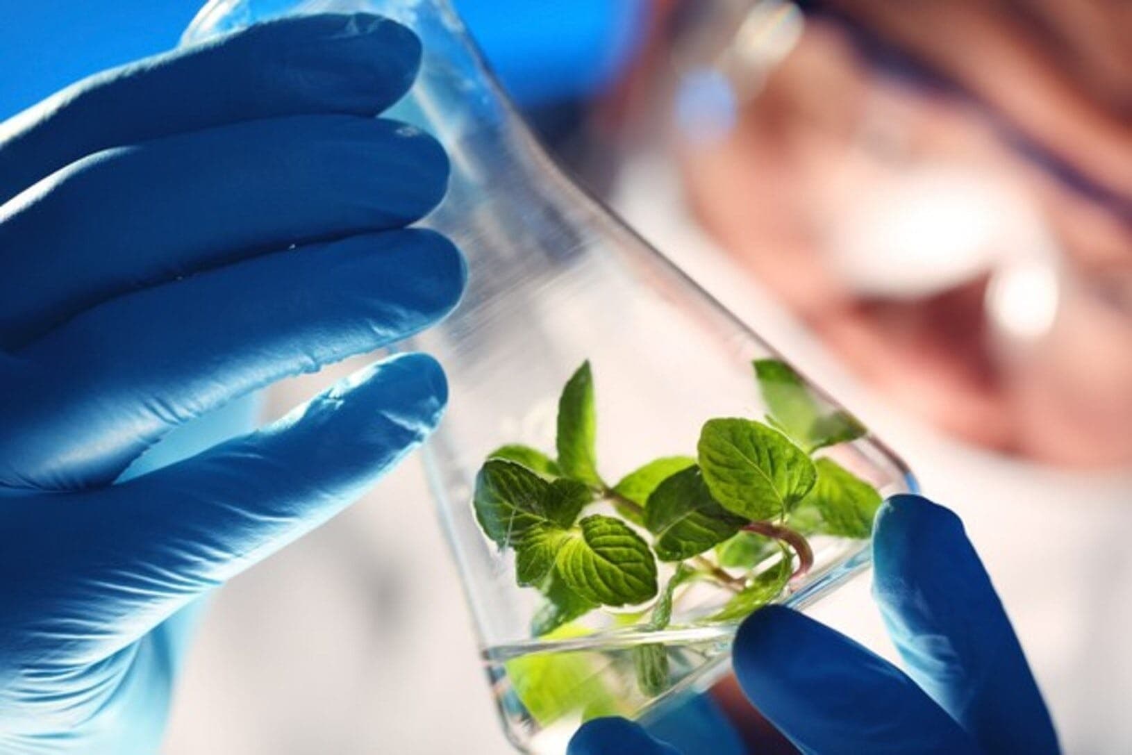 Lei de Bioinsumos é aprovada no Senado e segue para sanção presidencial