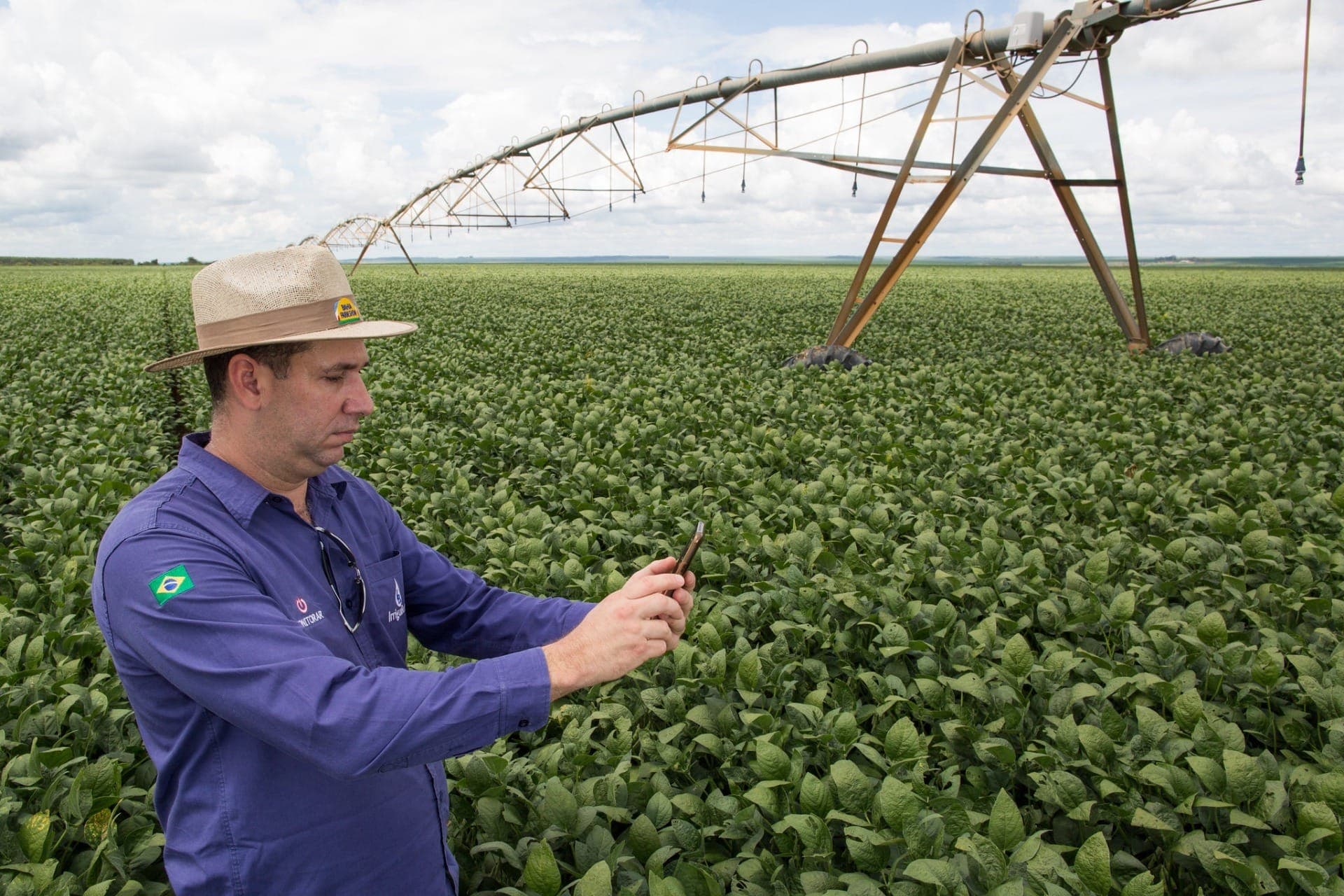 Profissão de gerente agrícola está em alta no setor agro