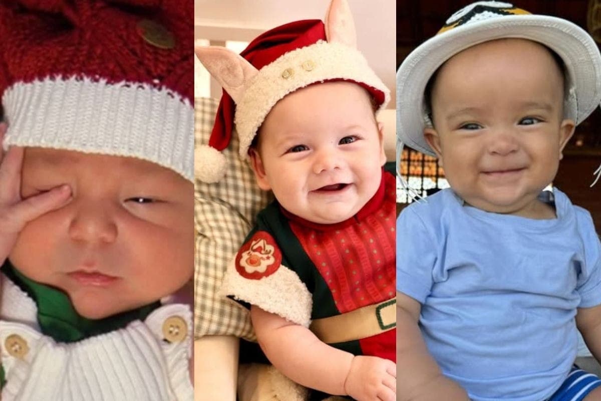 Filhos dos famosos que nasceram em 2024