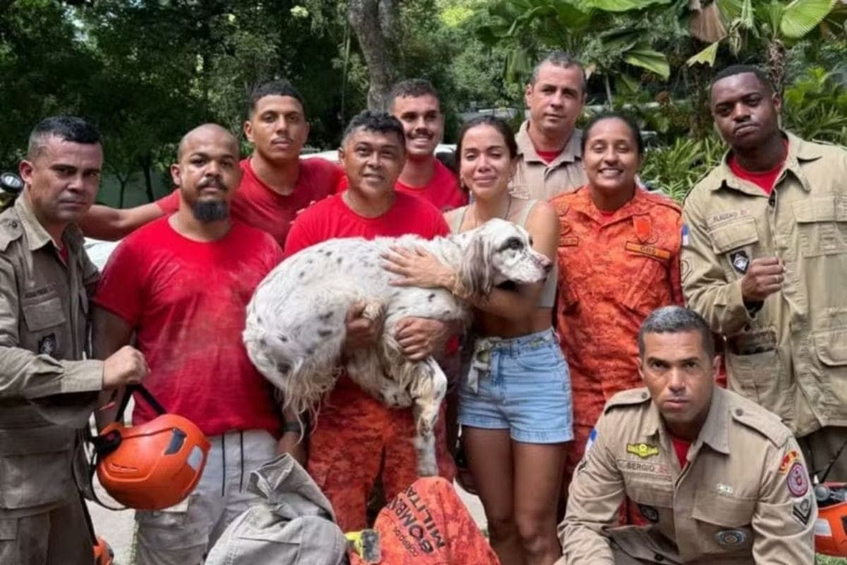 Anitta resgata Charlie com ajuda dos Bombeiros