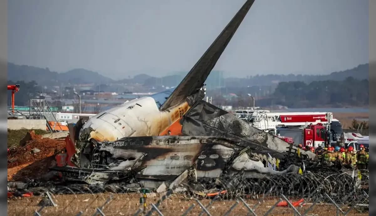 Avião que explodiu na Coreia do Sul colidiu com pássaros