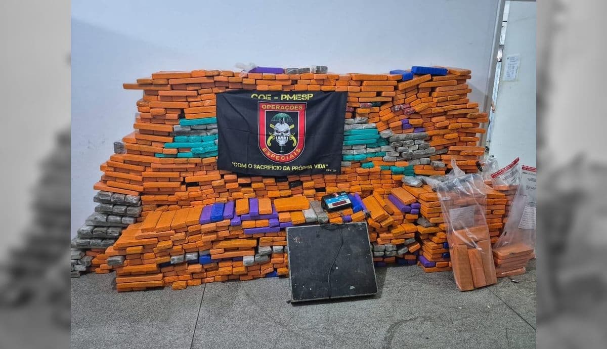 Entorpecentes foram localizados durante operação integrada