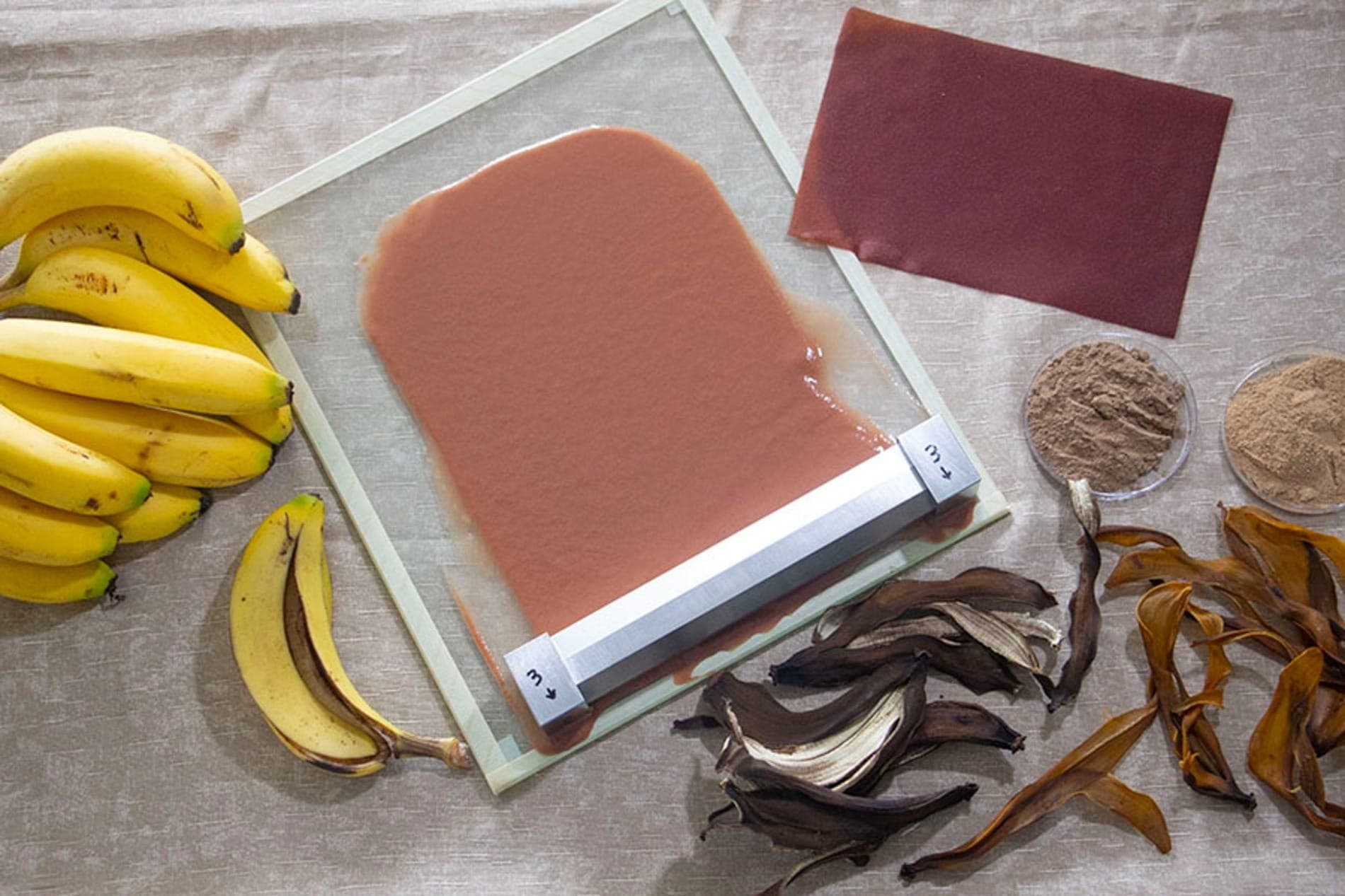 Cascas de banana se transformam em bioplástico
