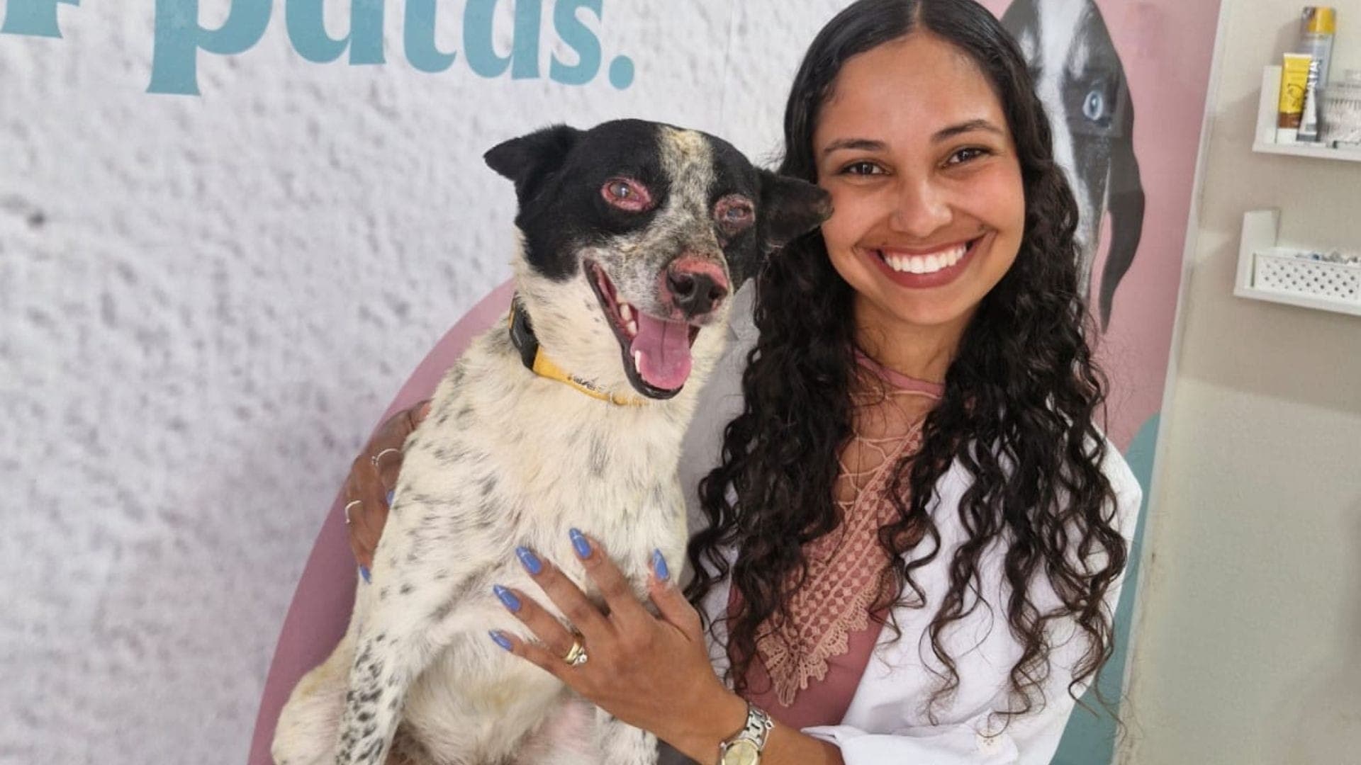 Médica veterinária Alice Soares, responsável pelo caso, o estado de saúde do cão é estável