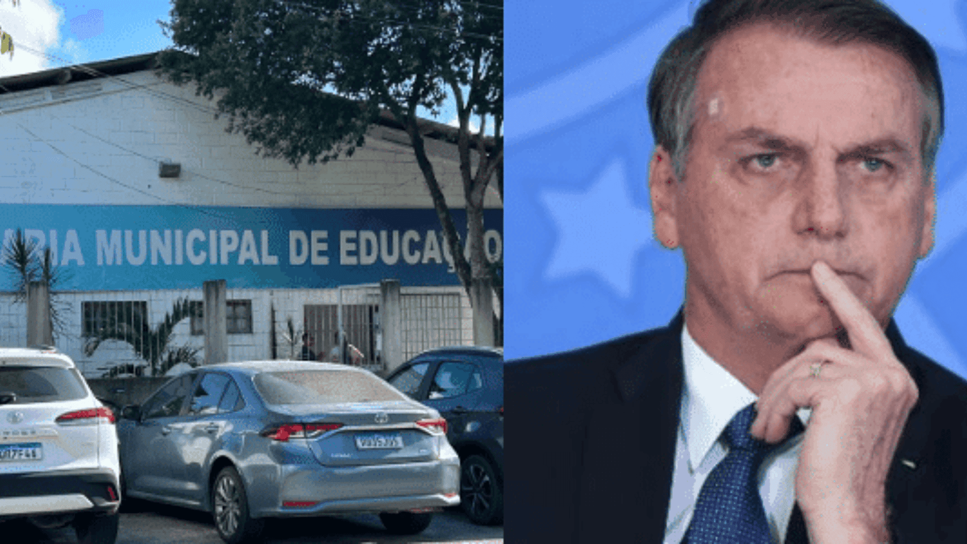 Cachorro do ministério da agricultura se aposenta depois de trabalhar 10 anos como fiscal