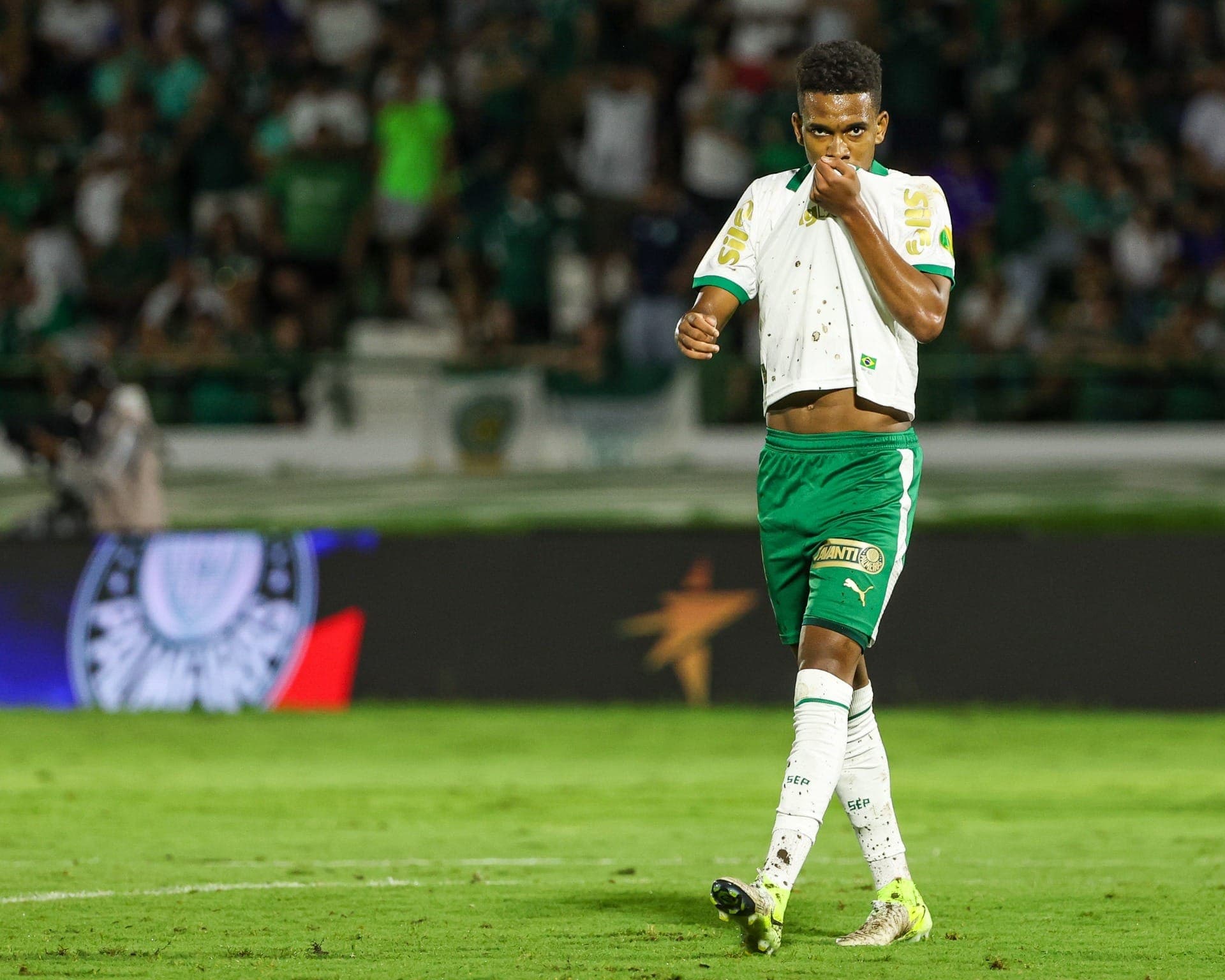 Estêvão segue sendo o grande destaque do Palmeiras