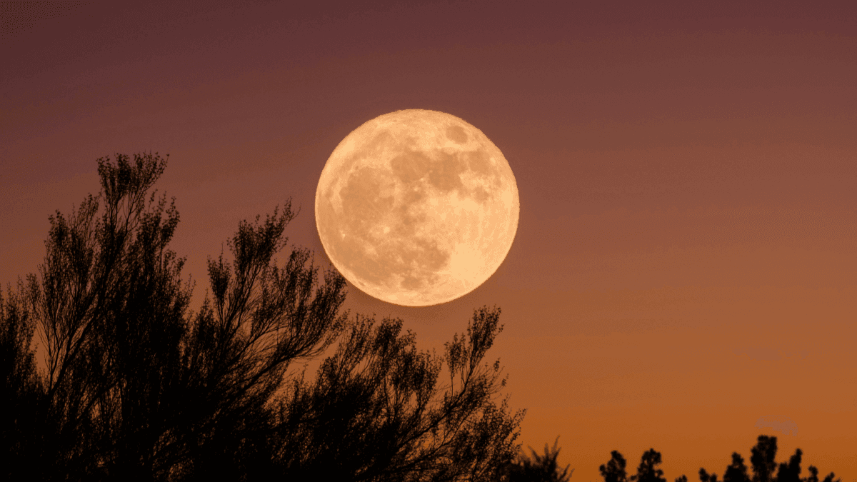 Confira as previsões da semana para o seu signo