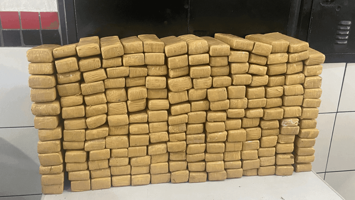 Droga é encontrada em área de mata no Guarujá, litoral de SP