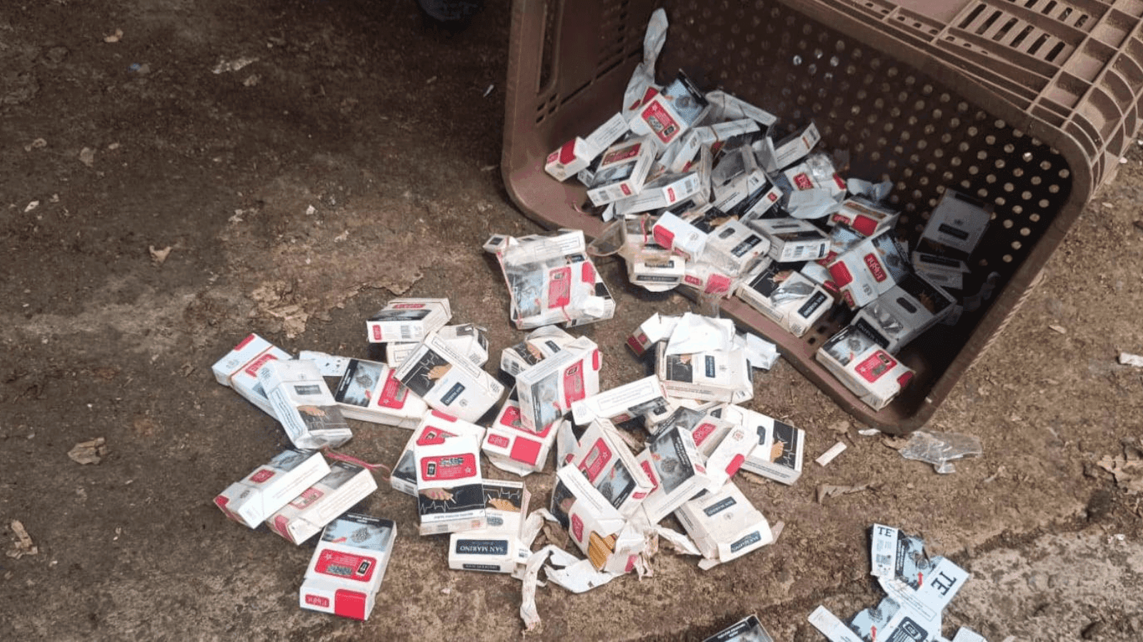 Vários cigarros foram apreendidos no barracão