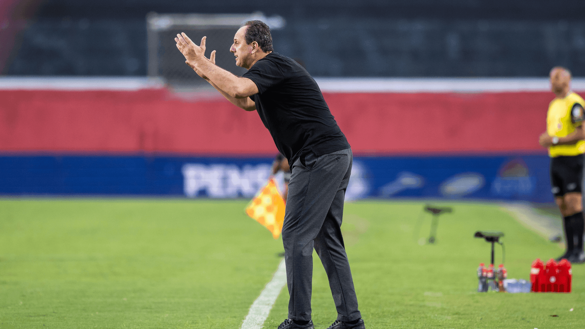 Rogério Ceni é o treinador do Bahia