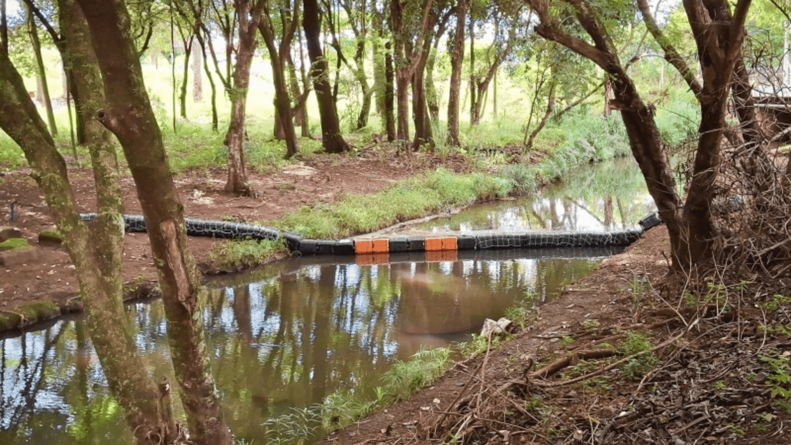 Medida preventiva para evitar a poluição dos rios e córregos
