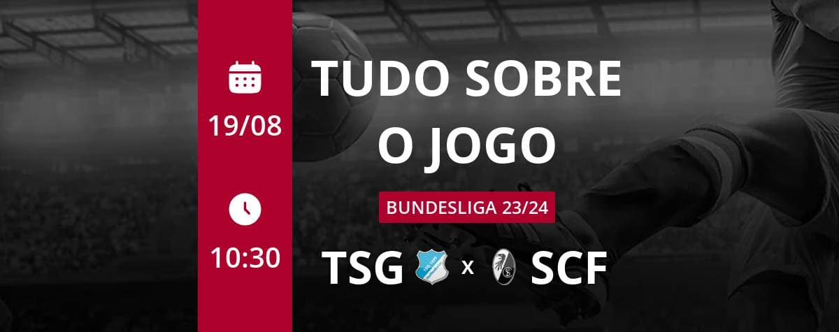 Bundesliga 23/24