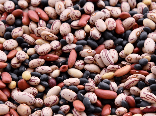 Saiba como usar os vários tipos de feijão na cozinha