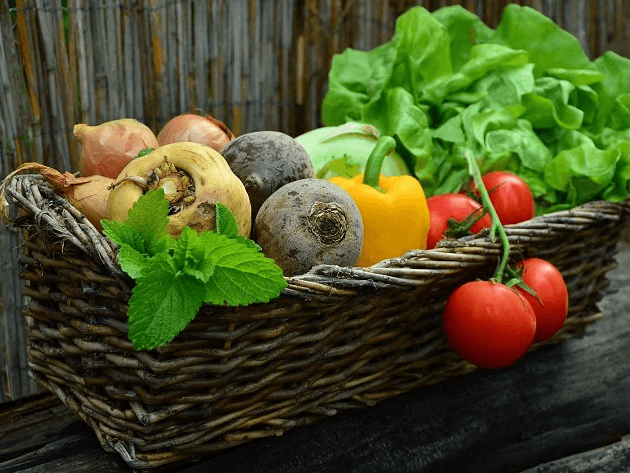 O segredo do que diferencia os alimentos está na parte comestível da planta
